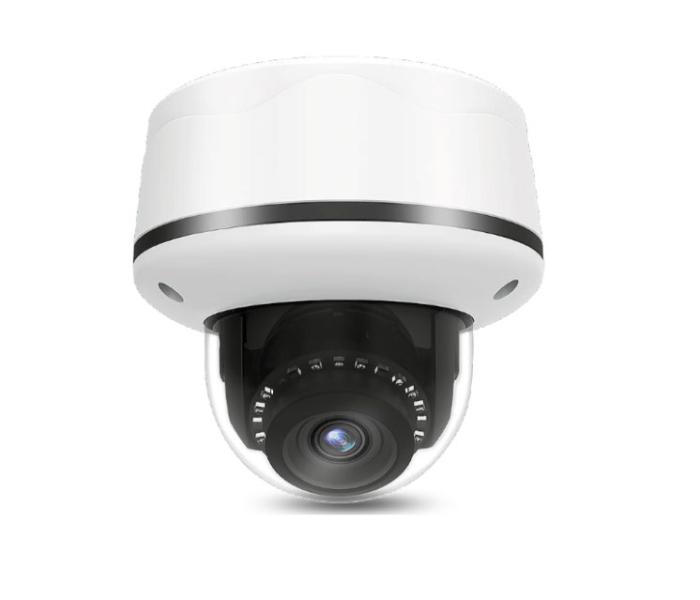 IP Video Surveillance